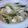 櫻井愛's cooksnap of when they made いんげん、豆腐、もやし炒め.
