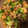 あい、はるママ♡'s cooksnap of when they made ＊牡蠣と海老のアヒージョ＊.