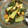 クックGFY8CA☆'s cooksnap of when they made 胡瓜と青梗菜とトマトのイタリアン風炒め.