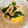 tonton041's cooksnap of when they made 豚バラほうれん草の中華風炒め.