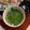 xMARILYNx's cooksnap of when they made あまった鶏肉で！さっぱりアジアンスープ.