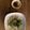 ザネッティー's cooksnap of when they made 味覇で作る 〜 ひとくち餃子 〜.