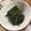 TーPON's cooksnap of when they made ワラビのアク抜き&お浸し.