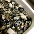 pinkあゆみん's cooksnap of when they made あさりの砂抜き 裏ワザ ふっくら.
