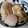 ここ左衛門's cooksnap of when they made 炊飯器料理☆豚の角煮.