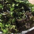 れもんらむね's cooksnap of when they made 花椒塩で♪海苔レタスしらすのサラダ.