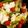nocconeco's cooksnap of when they made 土鍋で鱈の酒蒸し・春野菜と.