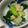 しむあい's cooksnap of when they made チンゲン菜の簡単あえもの.