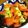 クックOKQXYA☆'s cooksnap of when they made サーモンとアボカドの丼☆.