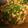 なごみ280315's cooksnap of when they made もやしで☆チンジャオロース.