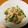 クック71BE12☆'s cooksnap of when they made 切り干しとツナと絹さやのサラダ.