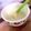 chibiなぎ's cooksnap of when they made 離乳食初期ゴックン期☆豆腐のトロトロ.
