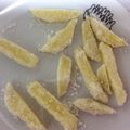 ルルルるか☆'s cooksnap of when they made オーブンでヘルシー 揚げないポテトフライ.