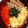 ＊ちゃちゅ＊'s cooksnap of when they made 4色そぼろ丼.
