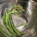 月の影と海's cooksnap of when they made 本物の灰deわらびのあくぬき.