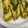 こむぎぱくぱく's cooksnap of when they made 三つ葉たっぷり卵焼き.