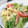 ユーロン's cooksnap of when they made 簡単！レタスとトマトの卵とじ.
