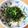 Saepi♡'s cooksnap of when they made お昼にパパっと☆ごま油香るのりねぎうどん.