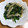 ナップ99's cooksnap of when they made ほうれん草と大根のごま和え♪.