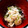 ♡こもれび♡'s cooksnap of when they made 青梗菜のじゃこぽん炒め.