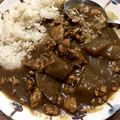 sunakichi's cooksnap of when they made 簡単たっぷりひき肉と冬瓜の本格和風カレー.