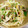 マダムカフェ♡'s cooksnap of when they made もやしとあさりの酒蒸し☆.