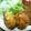 ねこはがき's cooksnap of when they made お弁当に☆かぼちゃサラダリメイクコロッケ.