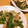 ESPERANSA's cooksnap of when they made きぬさや＆ツナのとろ〜りチーズ.