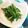 くまんぼう's cooksnap of when they made ちょいと一品★セリの練りゴマ和え.