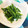 くまんぼう's cooksnap of when they made ちょいと一品★セリの練りゴマ和え.