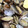 VanDyke's cooksnap of when they made あさりのバター焼き.