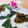 クックI7I5L1☆'s cooksnap of when they made パパっと作って♪生姜焼き巻き(ﾉ≧ڡ≦).