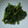 クック45CPP4☆'s cooksnap of when they made 簡単！春菊の胡麻和え☆.