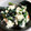 とろけるチーズ☆'s cooksnap of when they made 給食の味を再現！青菜の白和え.