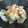 チビのり's cooksnap of when they made 焦がしマヨイカの白菜サラダ.