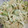 39taka's cooksnap of when they made 新玉ねぎとささみの梅肉和え.