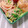 Natuki81's cooksnap of when they made 簡単すぎる 豆苗とツナのマヨ炒め.