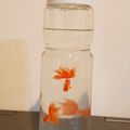 さとこて's cooksnap of when they made 子どもに、飲みやすい経口補水液.