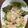 おかぼんぼん's cooksnap of when they made 柚子塩で香りアップ！簡単鶏マヨ.