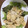 おかぼんぼん's cooksnap of when they made 柚子塩で香りアップ！簡単鶏マヨ.