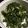 クックLSEMOP☆'s cooksnap of when they made 大根の葉ふりかけ♪簡単で栄養満点!.