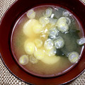 horseland's cooksnap of when they made もちふ・わかめ・あげのみそ汁.