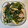 エル♀'s cooksnap of when they made わかめ大量消費☆わかめのあっさり炒め物♪.
