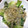 クック11SPZB☆'s cooksnap of when they made 青梗菜のじゃこぽん炒め.