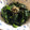 りさまる。's cooksnap of when they made 簡単♡基本のほうれん草のお浸し.
