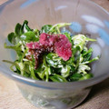 maruru-nn's cooksnap of when they made つまみ菜の柚子コショー入りマヨネーズ和え.