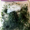 はずこ♡'s cooksnap of when they made パセリの保存、冷凍で刻みパセリ♪.