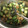 クックZ8J4H4☆'s cooksnap of when they made あと一品に納豆和え.