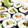 KUMI KUMI's cooksnap of when they made 鮭フレークで簡単♪サラダ巻き風のり巻き.