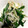 Marmo's cooksnap of when they made 簡単＊お弁当にも◎ニラもやしえのき炒め.